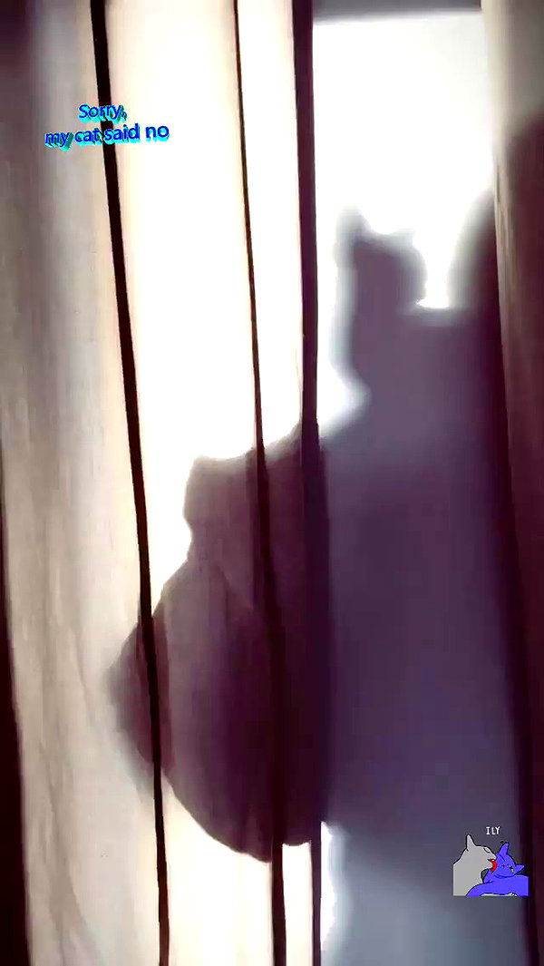 gigihadid archive video preview
