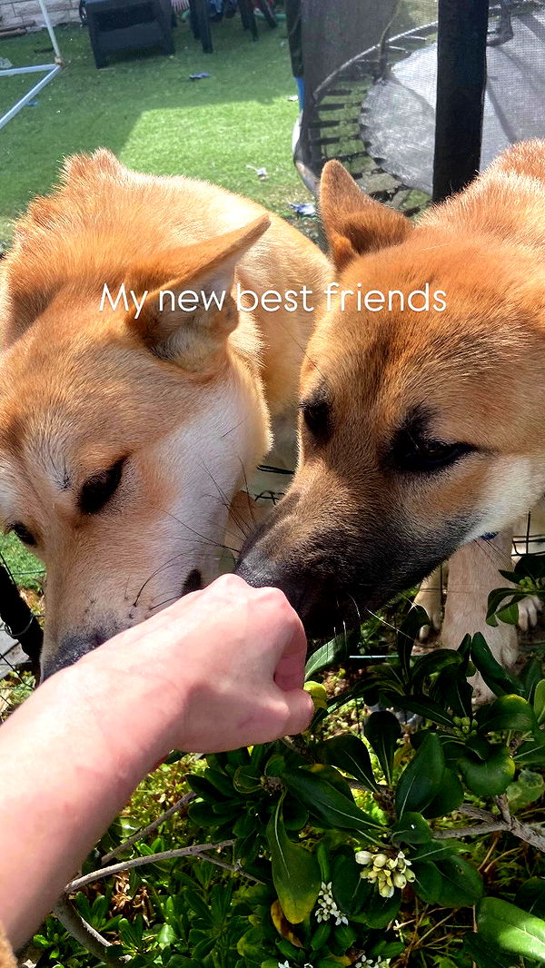 feelbetterinmysweater archive video preview