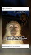 emily_new2 Altpins Profile Picture