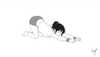 lyco_lycoris Altpins Profile Picture