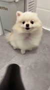 imshigh_ Altpins Profile Picture