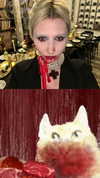 mortimertats Altpins Profile Picture