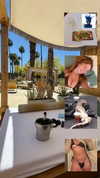 rouxroux.tv Altpins Profile Picture