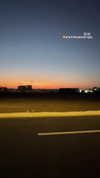 mishel_d_ Altpins Profile Picture