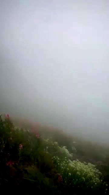 aekamee archive video preview