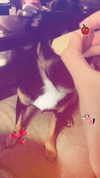 reanidays.cos Altpins Profile Picture