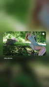 by.diwwa Altpins Profile Picture