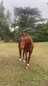 solzarubin_ Altpins Profile Picture