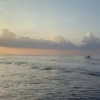 kafelnikova_a Altpins Profile Picture