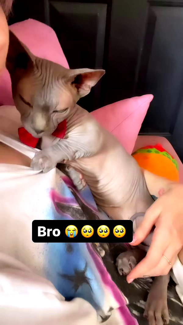 iluvmeww archive video preview