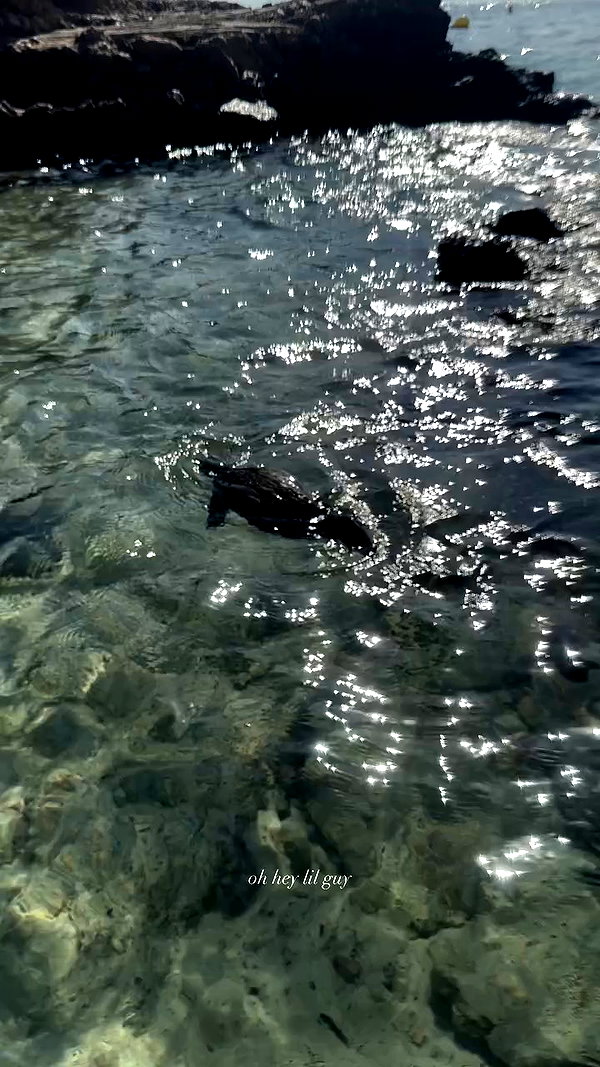 sophadophaa_ archive video preview
