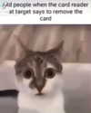 catl0verr69 Altpins Profile Picture