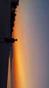 annabottoo Altpins Profile Picture