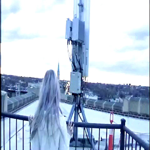 _milesnelson archive video preview
