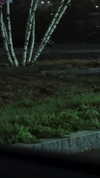 m3oww0_o Altpins Profile Picture