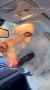 analuvillarreal Altpins Profile Picture