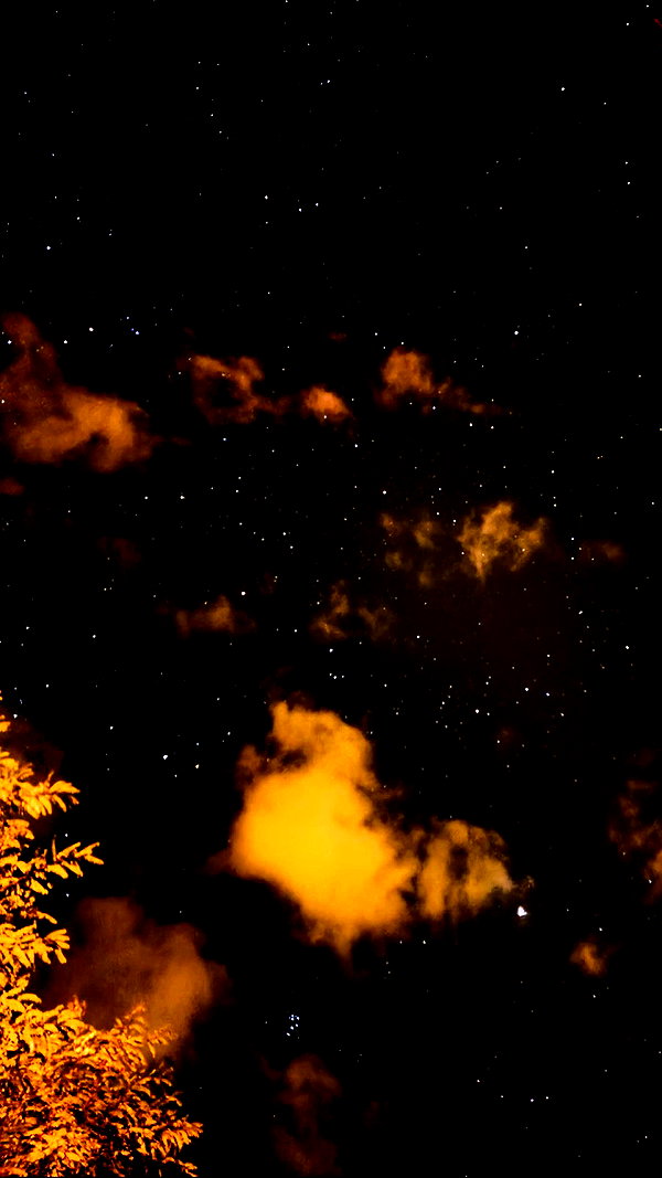 burcnaksu archive video preview
