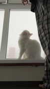 apathy.impress Altpins Profile Picture