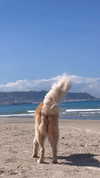 sonia_kalabin Altpins Profile Picture