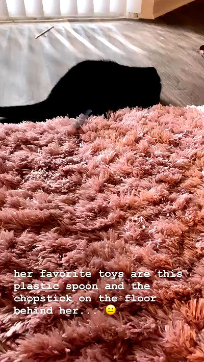 suikomuu suikomuu archive video