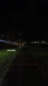 nyx_o_o_ Altpins Profile Picture