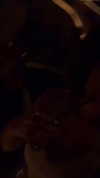 sonia.v._ Altpins Profile Picture