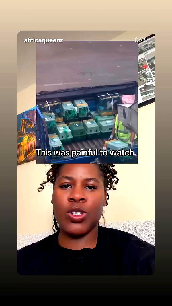 1justsabi archive video preview
