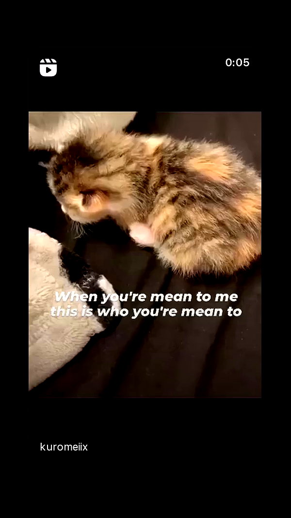babynympho_archive archive video preview