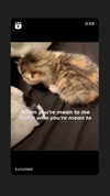 babynympho_archive Altpins Profile Picture