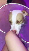 _mashachka_ Altpins Profile Picture