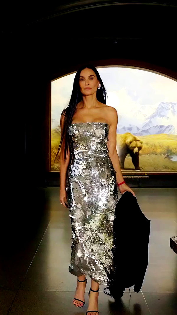 cfda archive video preview