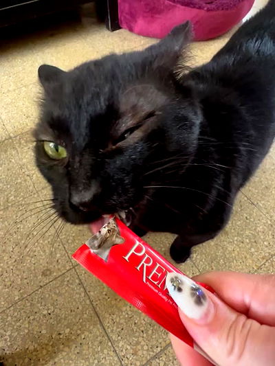 mishel116 mishel116 archive video