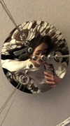 hoodifruit Altpins Profile Picture