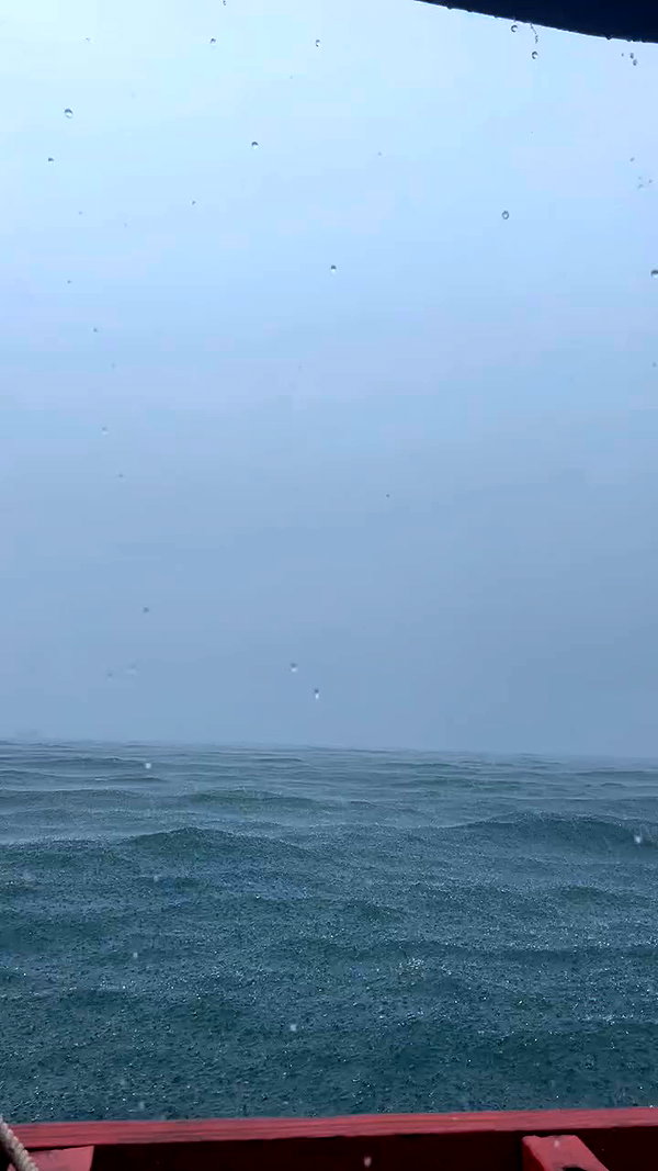 tamar_tsur archive video preview