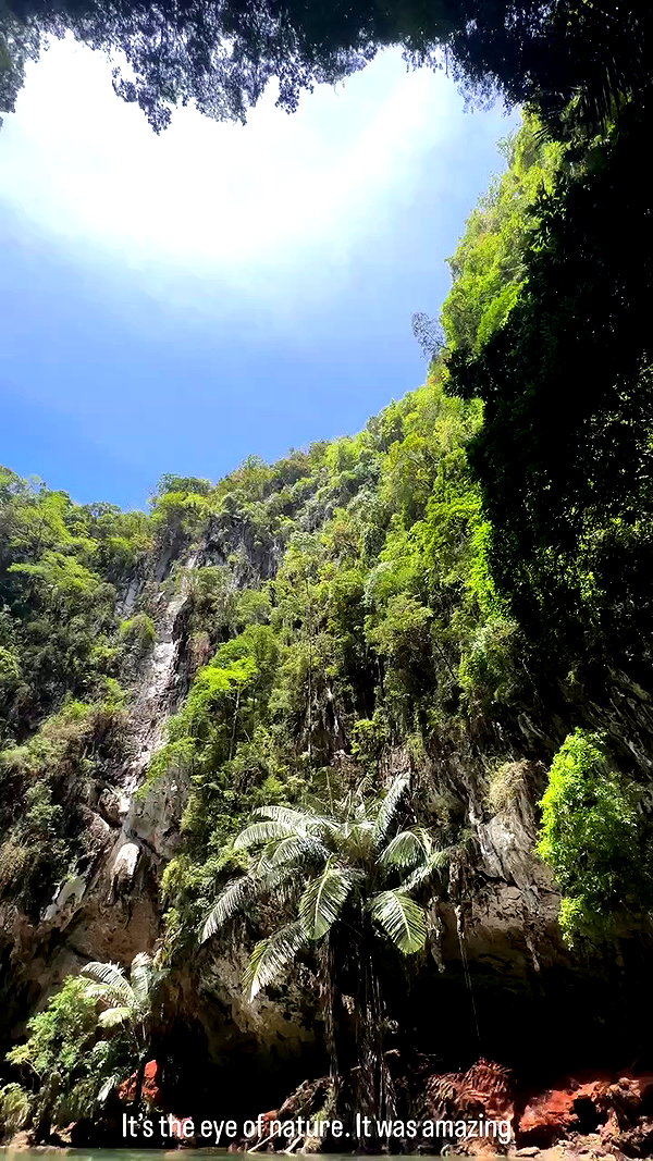 swfx_real archive video preview