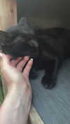 olivia.bolgerr Altpins Profile Picture