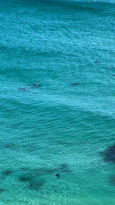 taylor.creeden taylor.creeden archive video