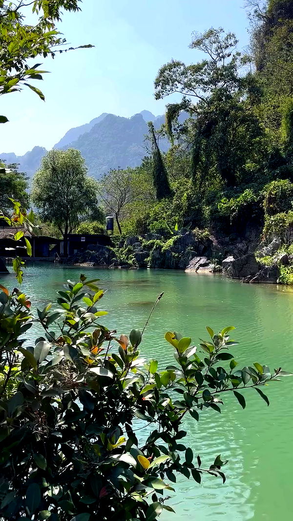 yam_adler archive video preview