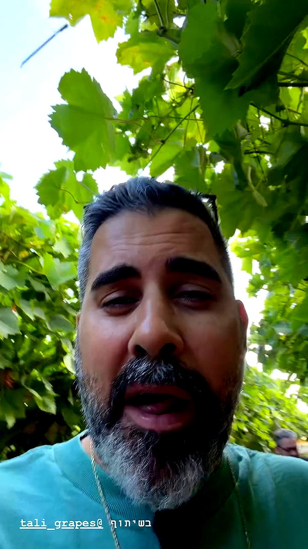 tali_grapes archive video preview