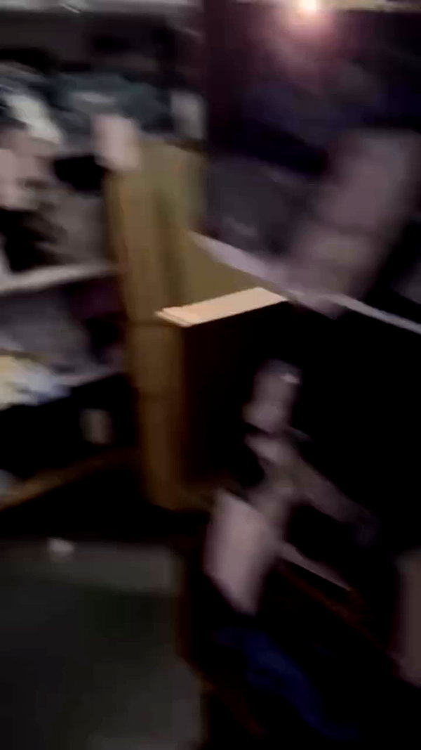 _allvi.pansk archive video preview