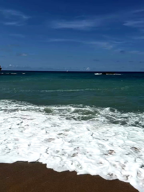a.tinn___ archive video preview