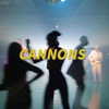 cannonstheband Altpins Profile Picture