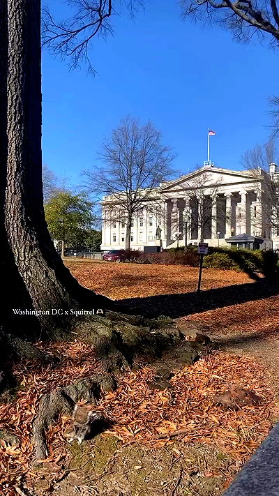 ellamwatts_ ellamwatts_ archive video