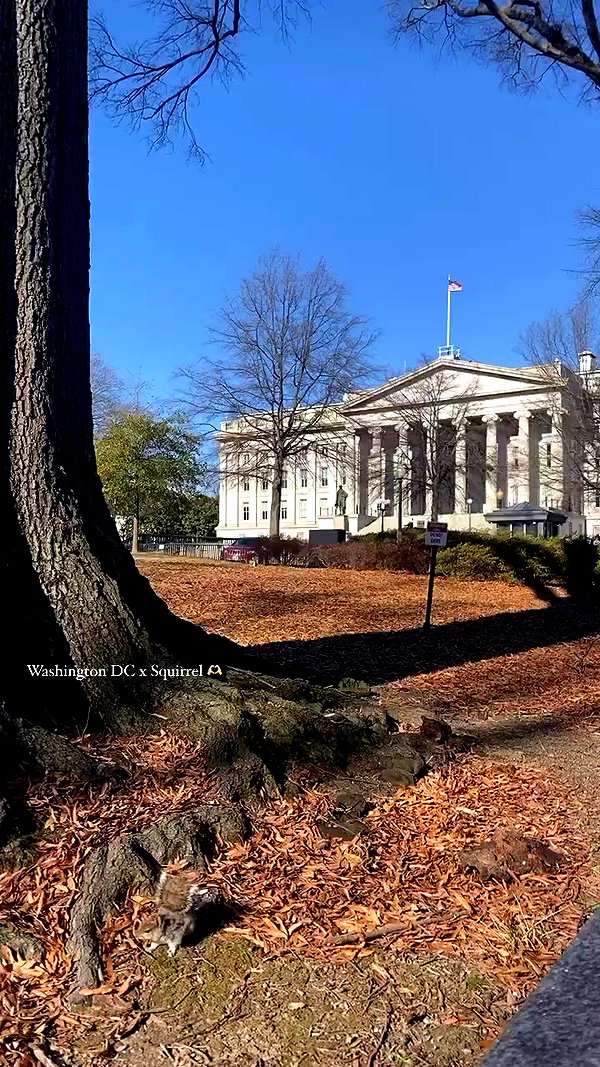 ellamwatts_ archive video preview