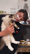 leni.bahr Altpins Profile Picture