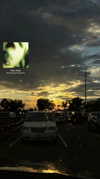 tallysgh0st Altpins Profile Picture