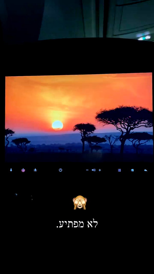 maori_cohen archive video preview