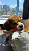 kyla.doddsss Altpins Profile Picture
