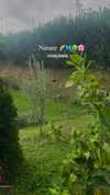 ilana.21 Altpins Profile Picture