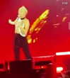 mileycyrus Altpins Profile Picture